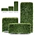 Premium 3D Dwarf Yaupon Holly 3D model small image 2