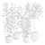 Exotic Ficus Variety Pack 3D model small image 3