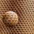Bamboo Rattan Cane Material Vol.12 3D model small image 2