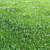 Clover Grass Scene Bundle 3D model small image 3