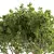 Contemporary Olive Tree Decor Piece 3D model small image 2