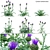  Versatile 3D Plant Library 3D model small image 1