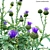  Versatile 3D Plant Library 3D model small image 2