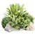 Outdoor Plants Collection Vol.233 3D model small image 1