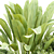 Outdoor Plants Collection Vol.233 3D model small image 3