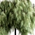 Graceful Weeping Willow Tree Set 3D model small image 2