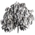 Graceful Weeping Willow Tree Set 3D model small image 3