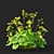 Soft Flower Cuff | Alchemilla Mollis 3D model small image 6