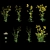 Rapeseed Plant 3D Model Scene 3D model small image 4