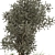 Lush Bush & Tree Set 3D model small image 3