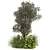 Lush Bush & Tree Set 3D model small image 4
