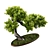 Elm Bonsai 2015 Model Render 3D model small image 2