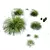 Golden Carex Grass 3D Models 3D model small image 3