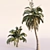 Coconut Palm Trees Set 3D model small image 4