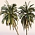 Coconut Palm Trees Set 3D model small image 5