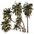 Coconut Palm Trees Set 3D model small image 7