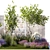 Landscape Plant Collection: Hazel, Lavender, Grass 3D model small image 6