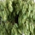 Willow-Tree Set 238 3D model small image 2