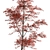 Red Maple 246 Tree Set 3D model small image 2