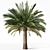 Variety Sago Palm Tree Collection 3D model small image 7