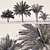 Variety Sago Palm Tree Collection 3D model small image 10