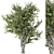 Outdoor Umbrella Shaped Tree 3D 3D model small image 1