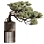 Mini Bonsai Potted Plant 3D model small image 1