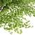 Outdoor Garden Box Bushes Set 3D model small image 2