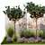 Citrus Collection with Lavender & Ornamental Grasses 3D model small image 2