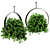 Premium Indoor Hanging Plant Set 3D model small image 1