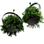 Premium Indoor Hanging Plant Set 3D model small image 3
