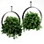 Premium Indoor Hanging Plant Set 3D model small image 4