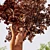 Alnus Glutinosa 3D Model Set 3D model small image 4