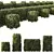 Dwarf Olive Topiary Plants 3D model small image 1