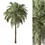 Tropical Palm Tree 3D Model 3D model small image 1