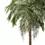 Tropical Palm Tree 3D Model 3D model small image 3