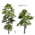 Scots Pine VR Model Kit 3D model small image 1