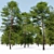 Scots Pine VR Model Kit 3D model small image 5