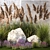 Landscape Plant Collection: Silverberry, Olive, Berberis, Thuja, Hydrangea 3D model small image 6