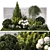 Landscape Plant Collection: Silverberry, Olive, Berberis, Thuja, Hydrangea 3D model small image 8