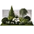 Landscape Plant Collection: Silverberry, Olive, Berberis, Thuja, Hydrangea 3D model small image 11