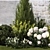 Landscape Plant Collection: Silverberry, Olive, Berberis, Thuja, Hydrangea 3D model small image 13