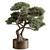 Bonsai Beauty: Indoor Plant 594 3D model small image 1