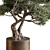 Bonsai Beauty: Indoor Plant 594 3D model small image 2