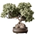 Zen Bonsai Plant 597 3D model small image 2