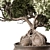 Zen Bonsai Plant 597 3D model small image 3