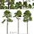 Scots Pine 3D Model Library 3D model small image 1