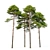 Scots Pine 3D Model Library 3D model small image 5