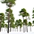 Scots Pine 3D Model Library 3D model small image 6