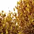 Dwarf Olive Topiary Shrubs 3D 3D model small image 4